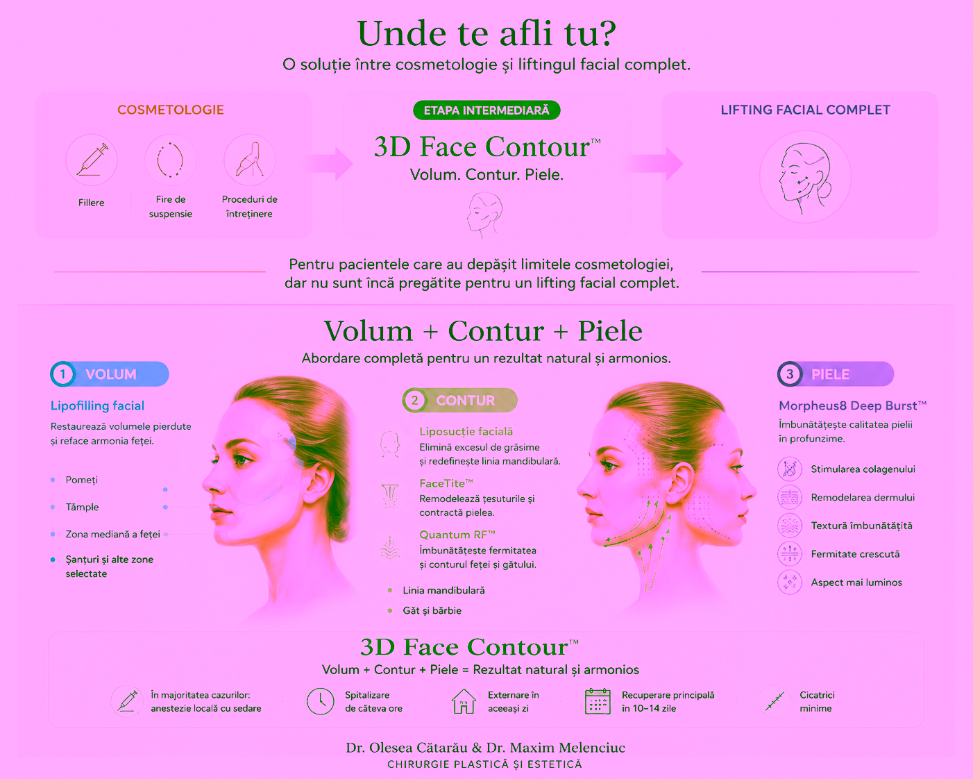 file 00000000138071f492f783373a7bbe6b Chirurgie Plastiсă, Estetică, Microchirurgie Reconstructivă si Chirurgia Mâinei